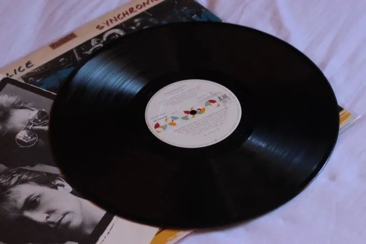 Vinil the police  - Foto 2