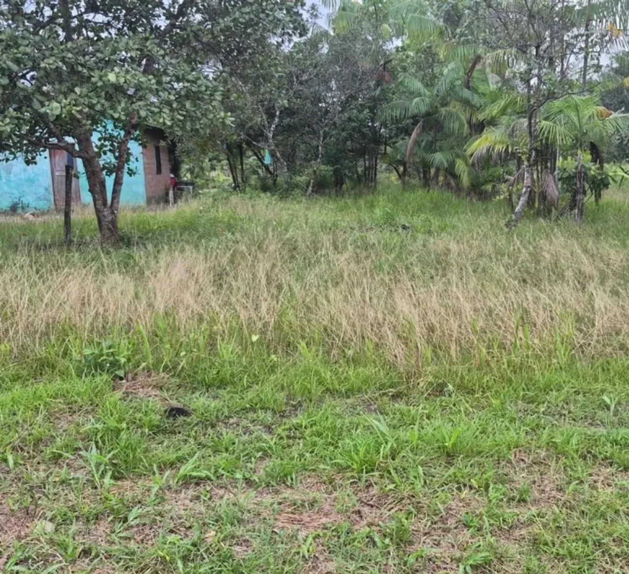 Vendo dois terrenos  - Foto 3