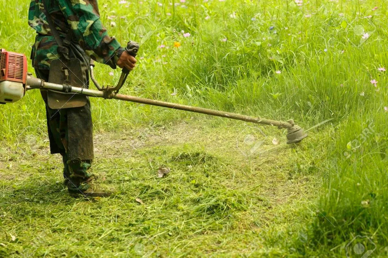 Faço serviço de jardinagem  - Foto 3