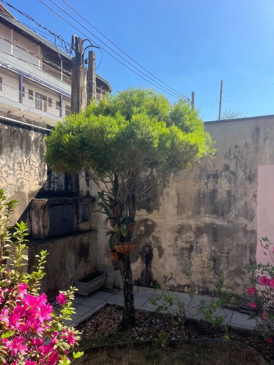 Jardinagem  - Foto 4