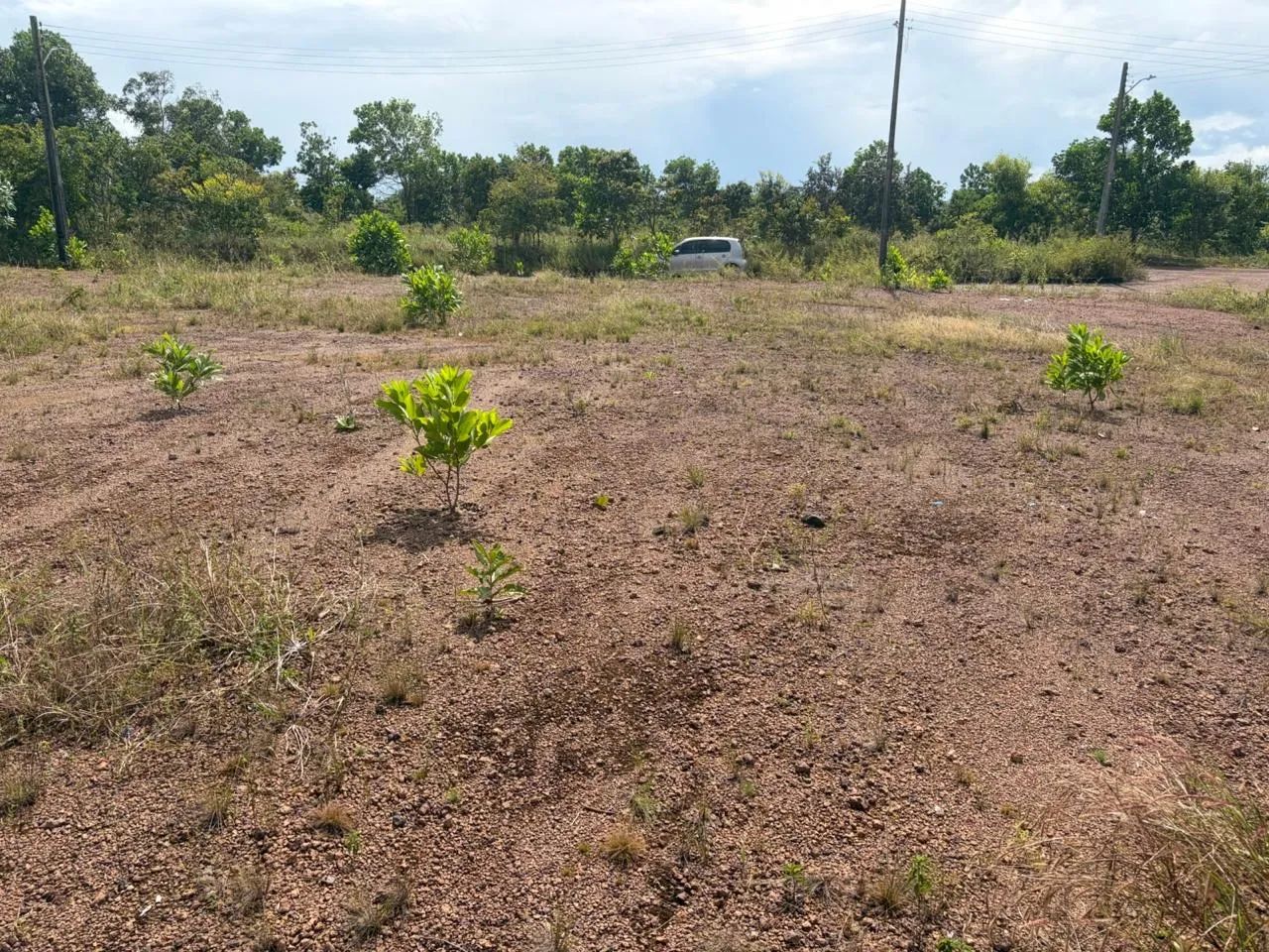 Terreno no Terra nova  - Foto 3