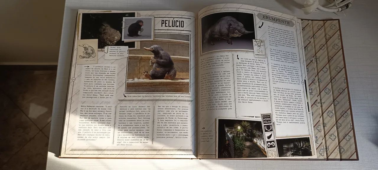 A Maleta de Criaturas  - Foto 6