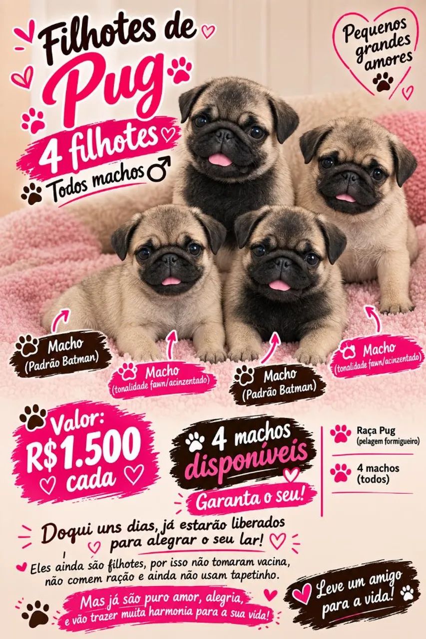 Pug