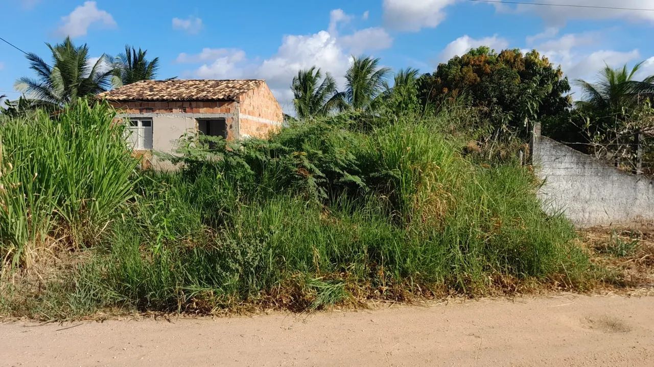 Terreno Lote em Salgado-SE  - Foto 4