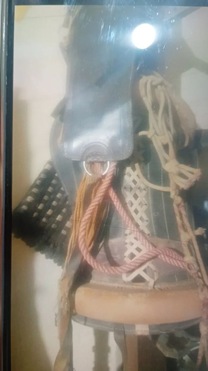 Cela - Foto 2