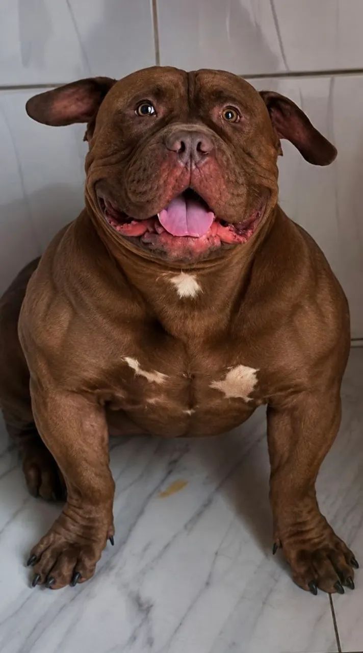 REAL PIT MONSTER 
