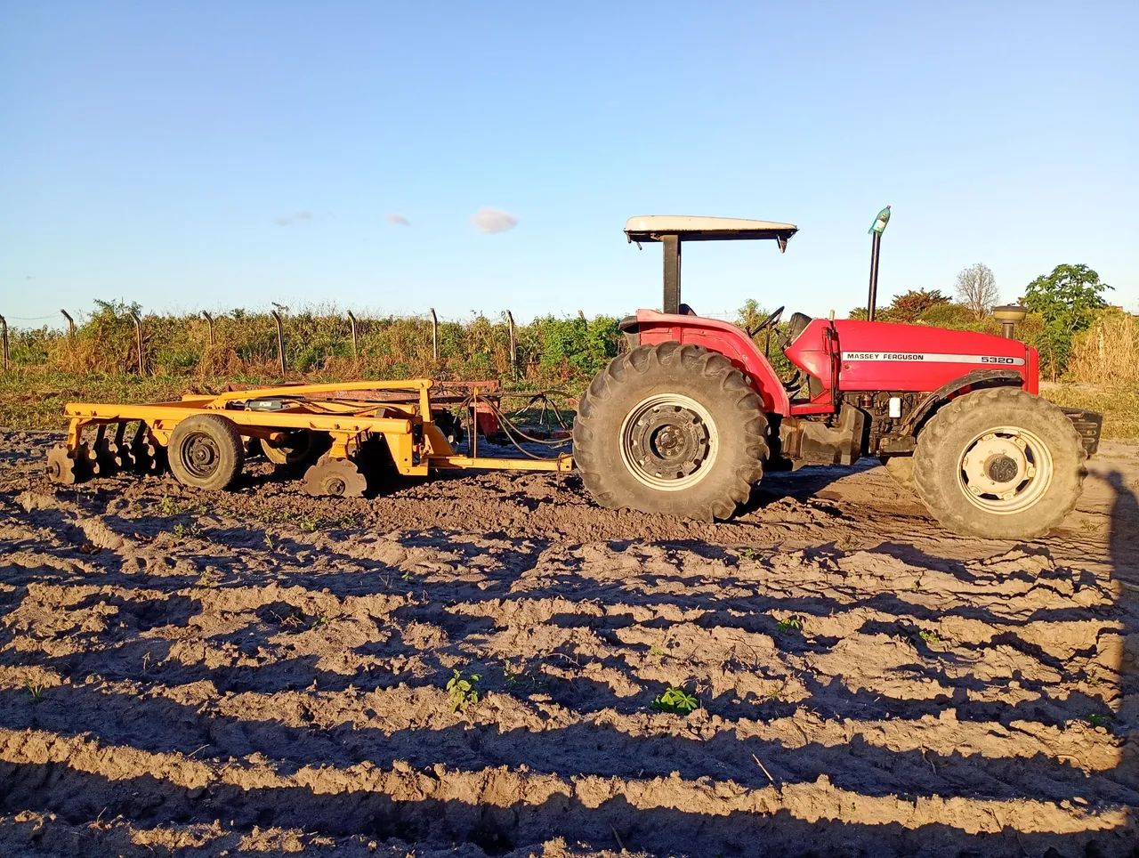 Trator Massey Ferguson 5320 4×4 e grade aradora 20 discos  - Foto 5