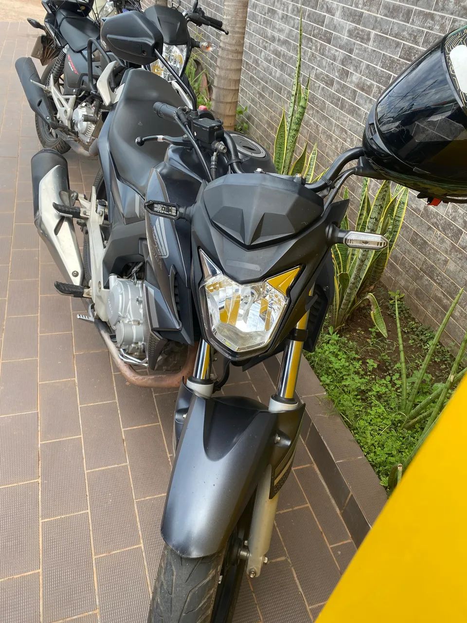 Twister flexone abs 2022  - Foto 3