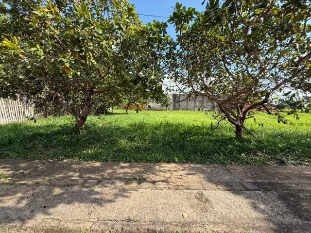Santo Afonso, terreno com 450m² - Foto 5