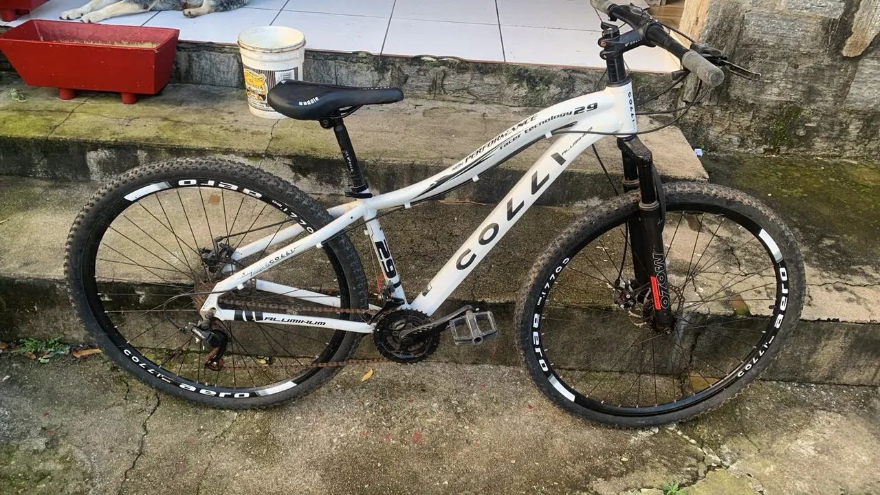 Bicicleta Calloi - Foto 2