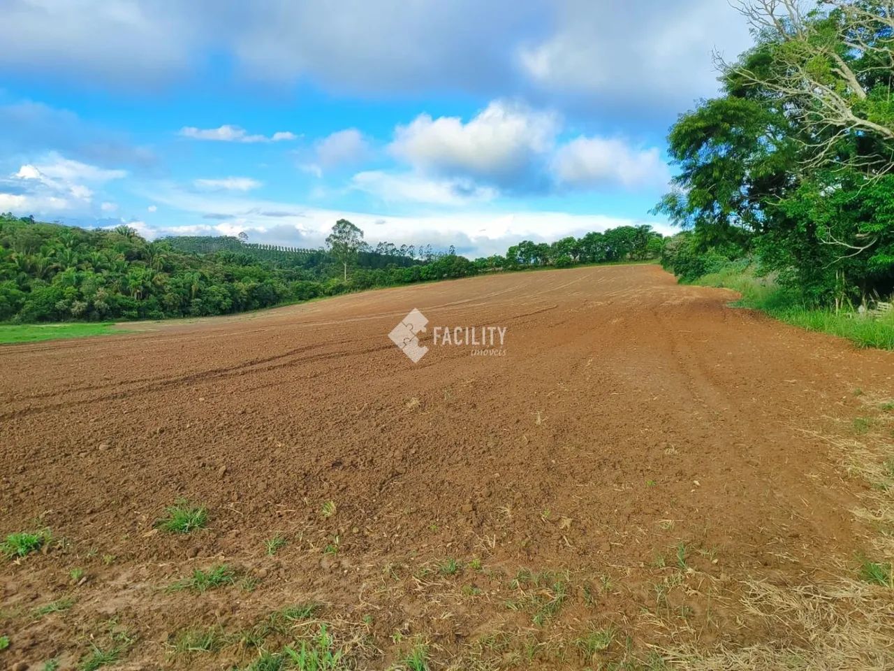 Sitio produtivo em São Miguel Arcanjo - SP - Foto 4