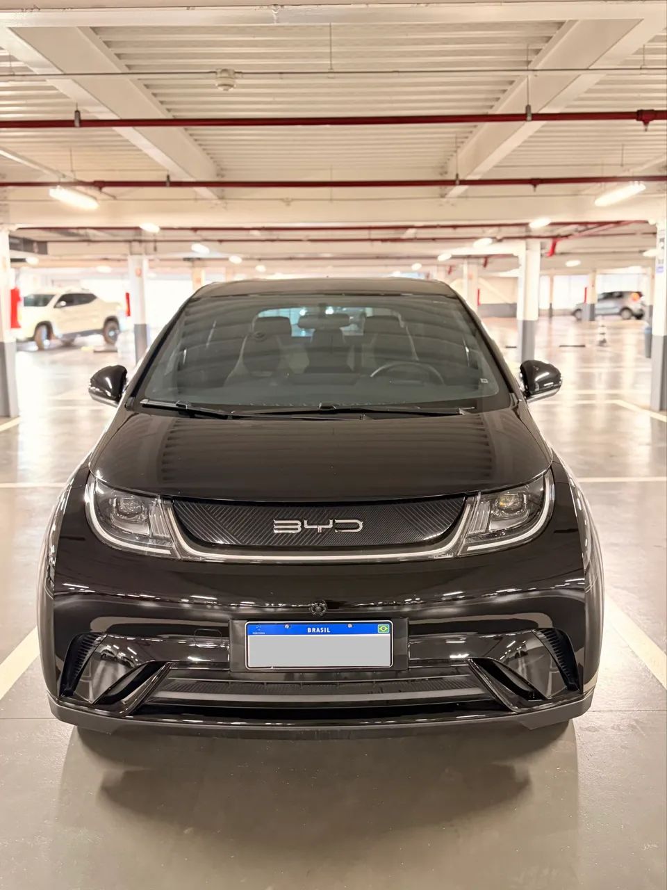 BYD Dolphin EV (Elétrico) 2024 - Foto 4
