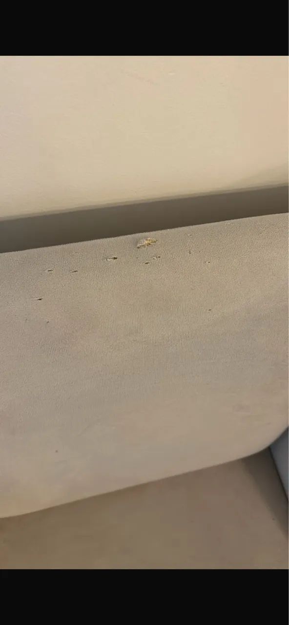 Vendo poltrona de veludo  - Foto 3