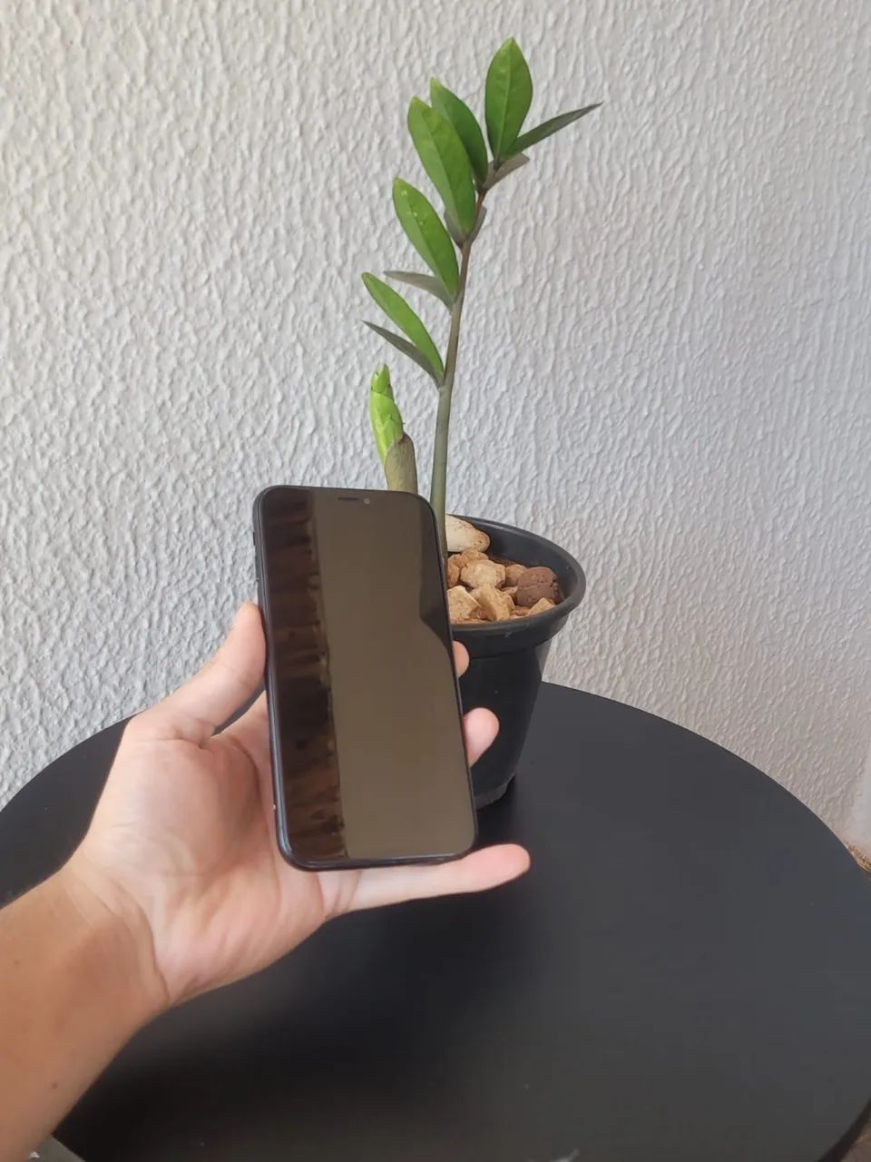 iPhone XR Barato - Foto 2