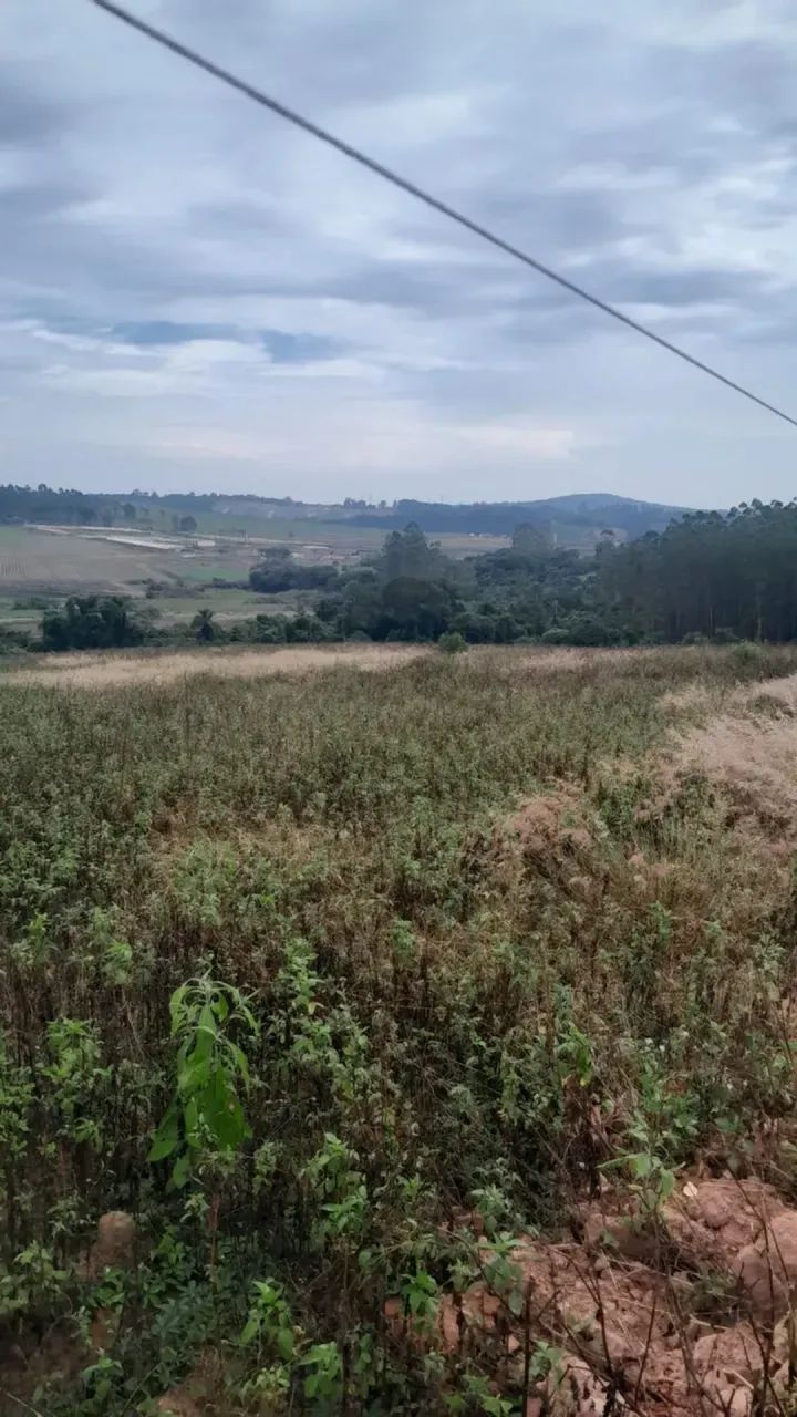 Imóvel para venda com 500 metros quadrados em Centro - Cotia - SP - Foto 3