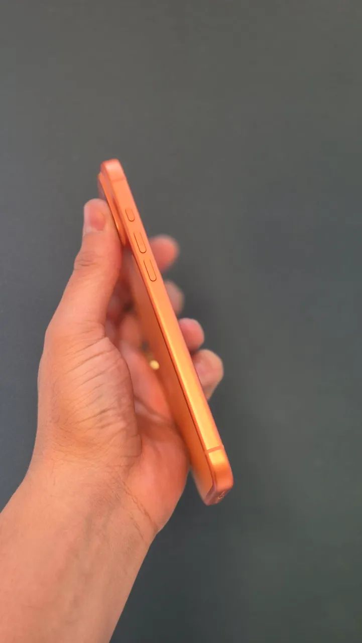 Iphone 17 Pro Max 256GB Seminovo - Foto 4