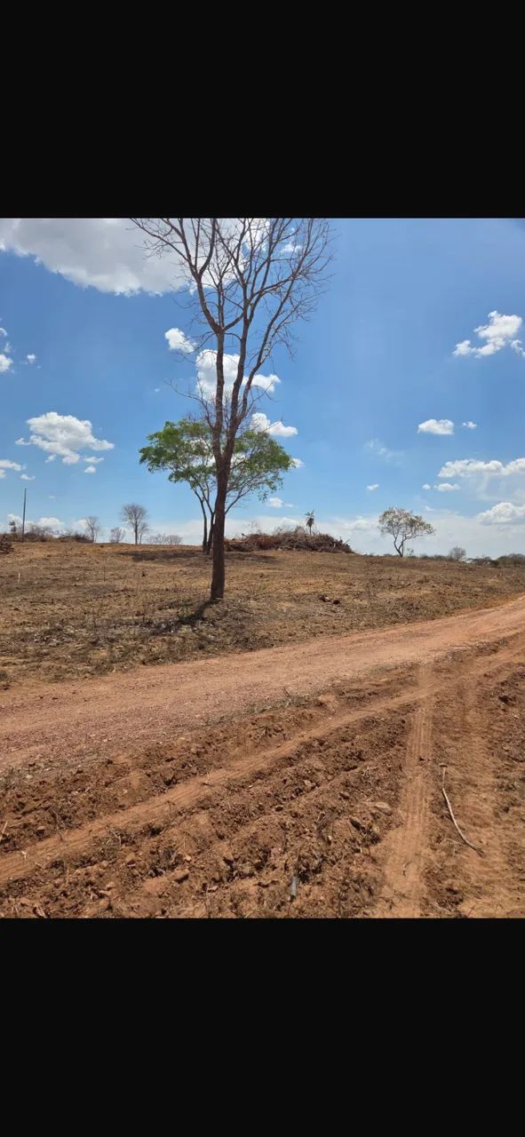 Fazendinha no Rio Cuiabá  - Foto 3