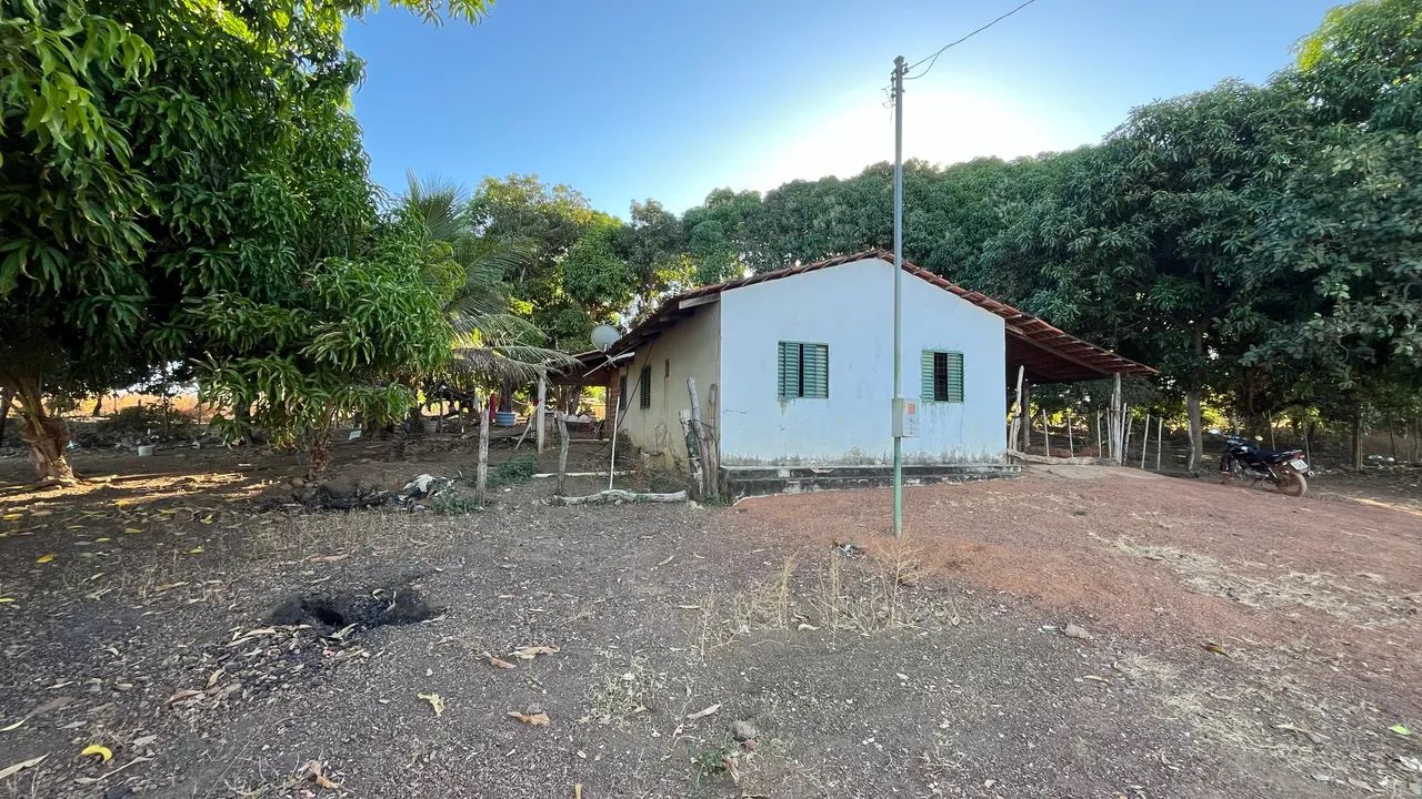 Chácara à venda próximo a Barrolândia-TO | Casa, pomar formado e excelente localização
