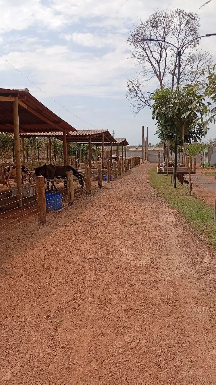 Área comercial estrada da guia - Foto 5