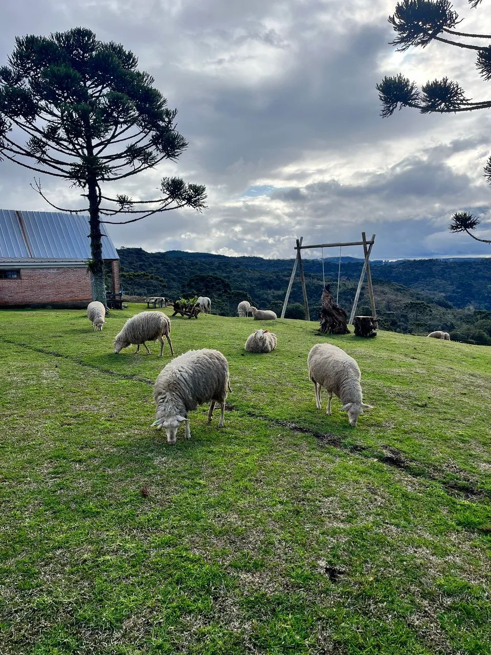 Pousada altitude Bocaina do Sul