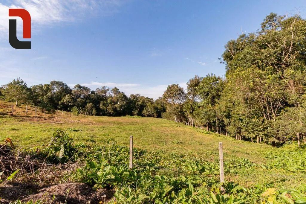 Terreno à venda, 9929 m² por R$ 980.000,00 - Santa Cândida - Curitiba/PR - Foto 6
