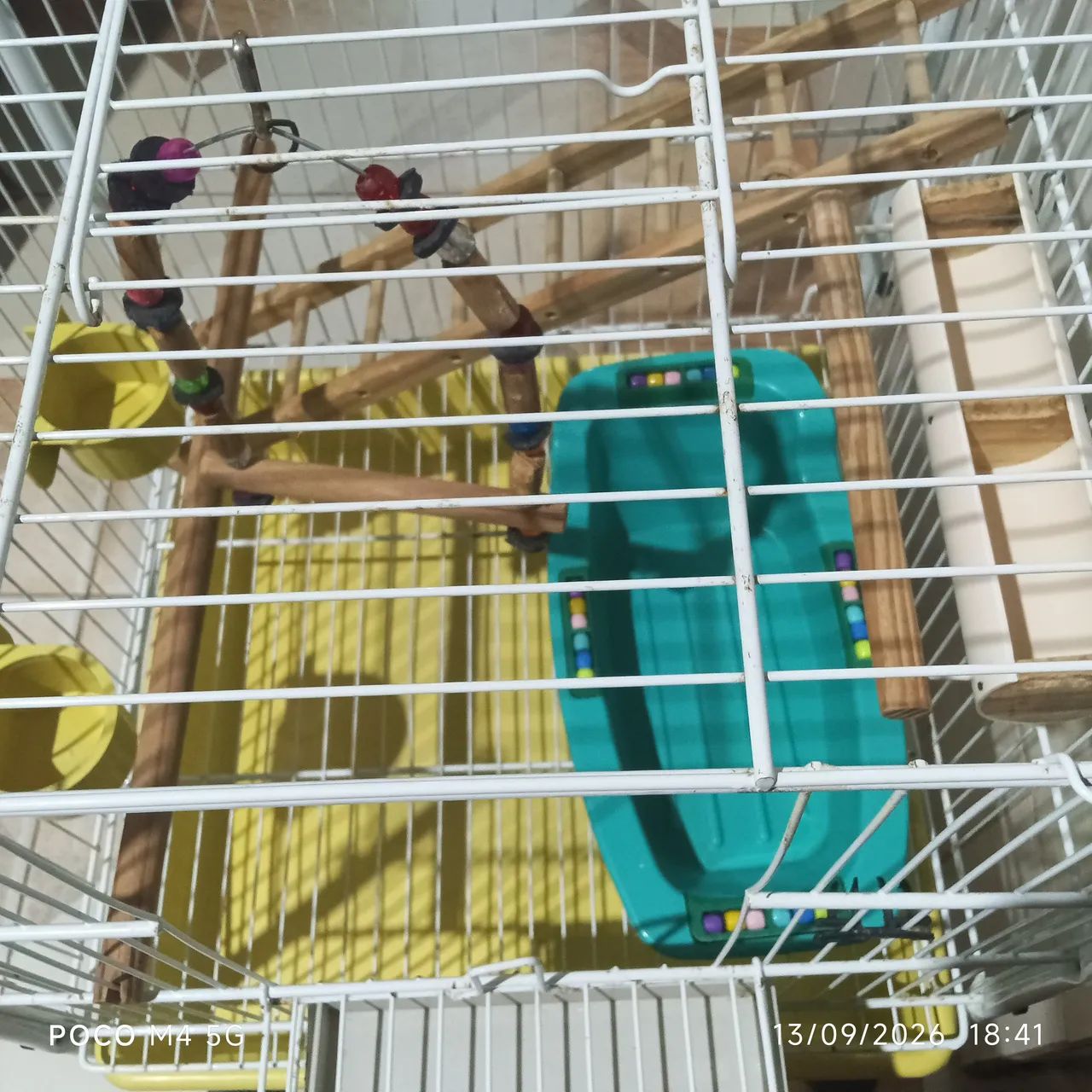 Gaiola! 