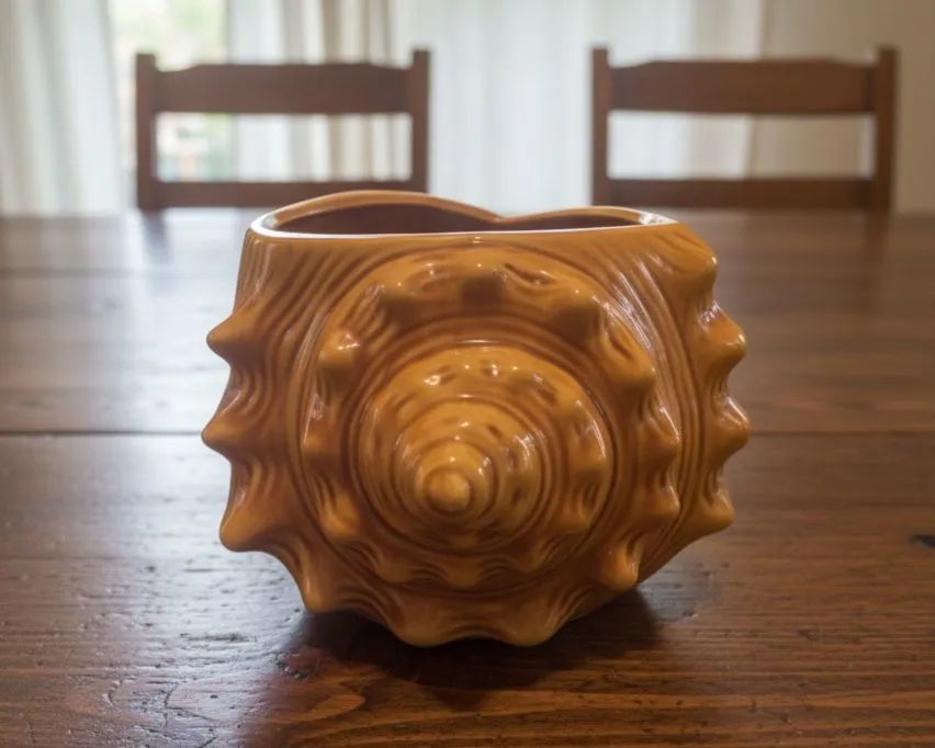 Cachepo concha grande