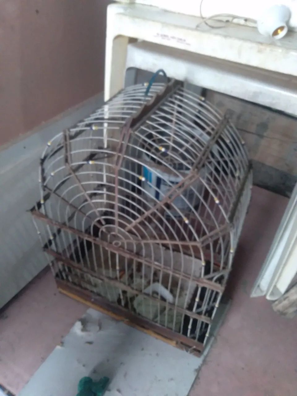 Gaiola grande  - Foto 4