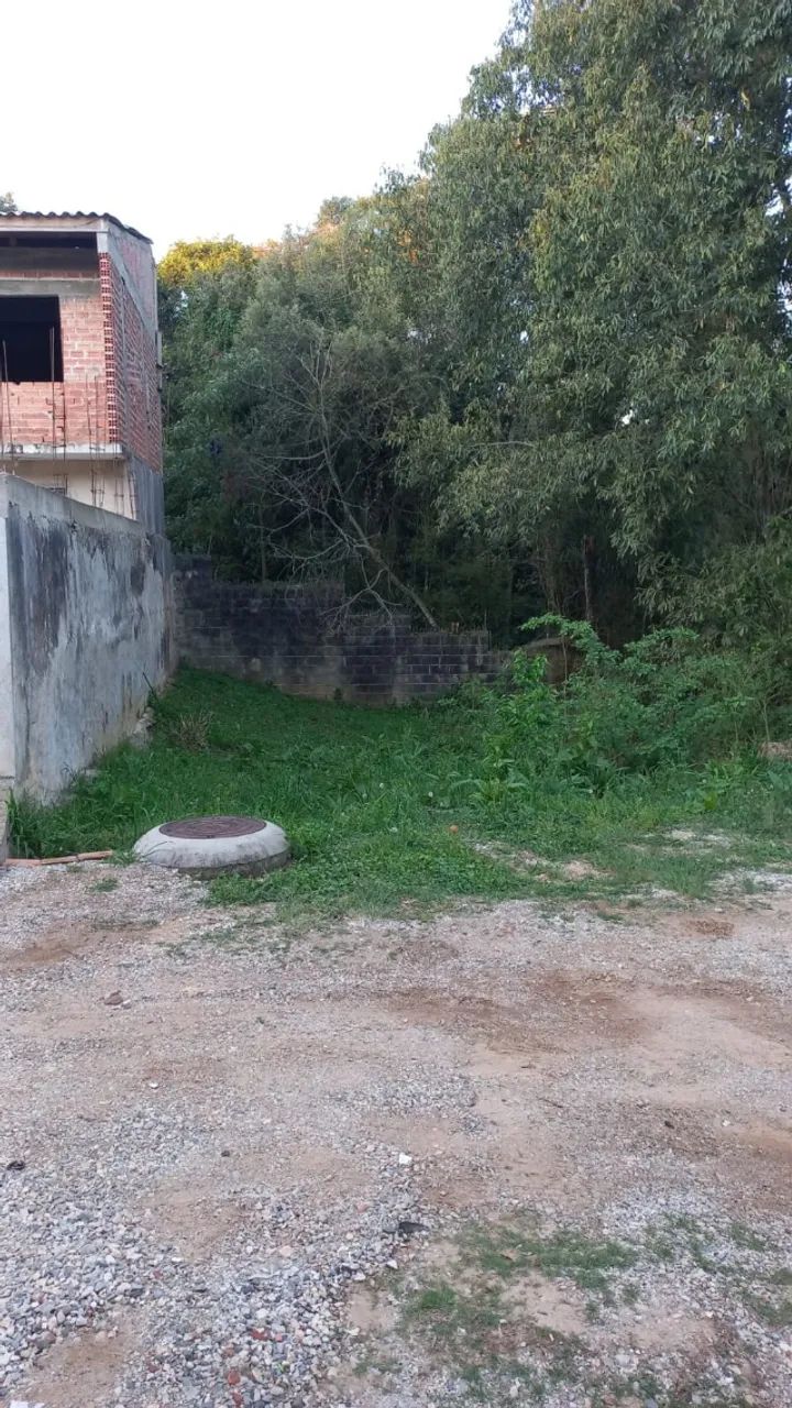 Foto - Almirante Tamandaré - Campina do Arruda