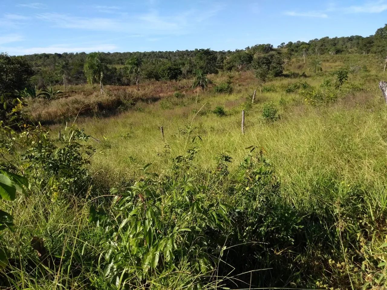 Vendo sítio em Minaçu  - Foto 3
