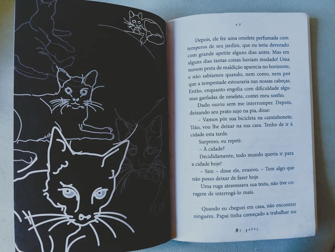 Livro Os Gatos - Foto 4