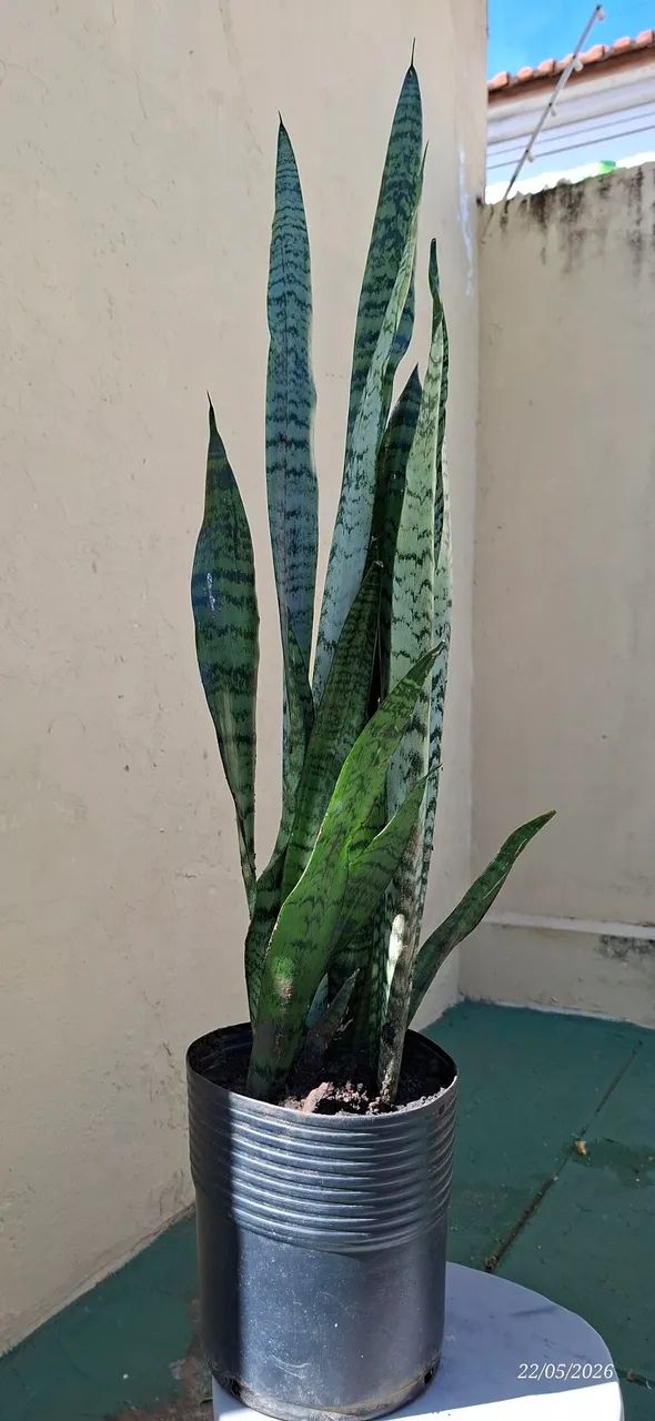 Vaso de espadas 103cm - Foto 2