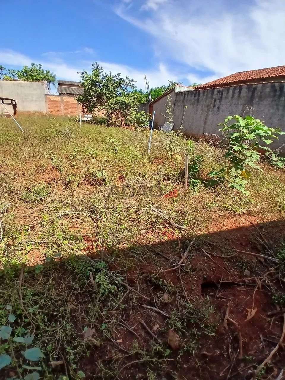 Lote Recanto - Foto 2