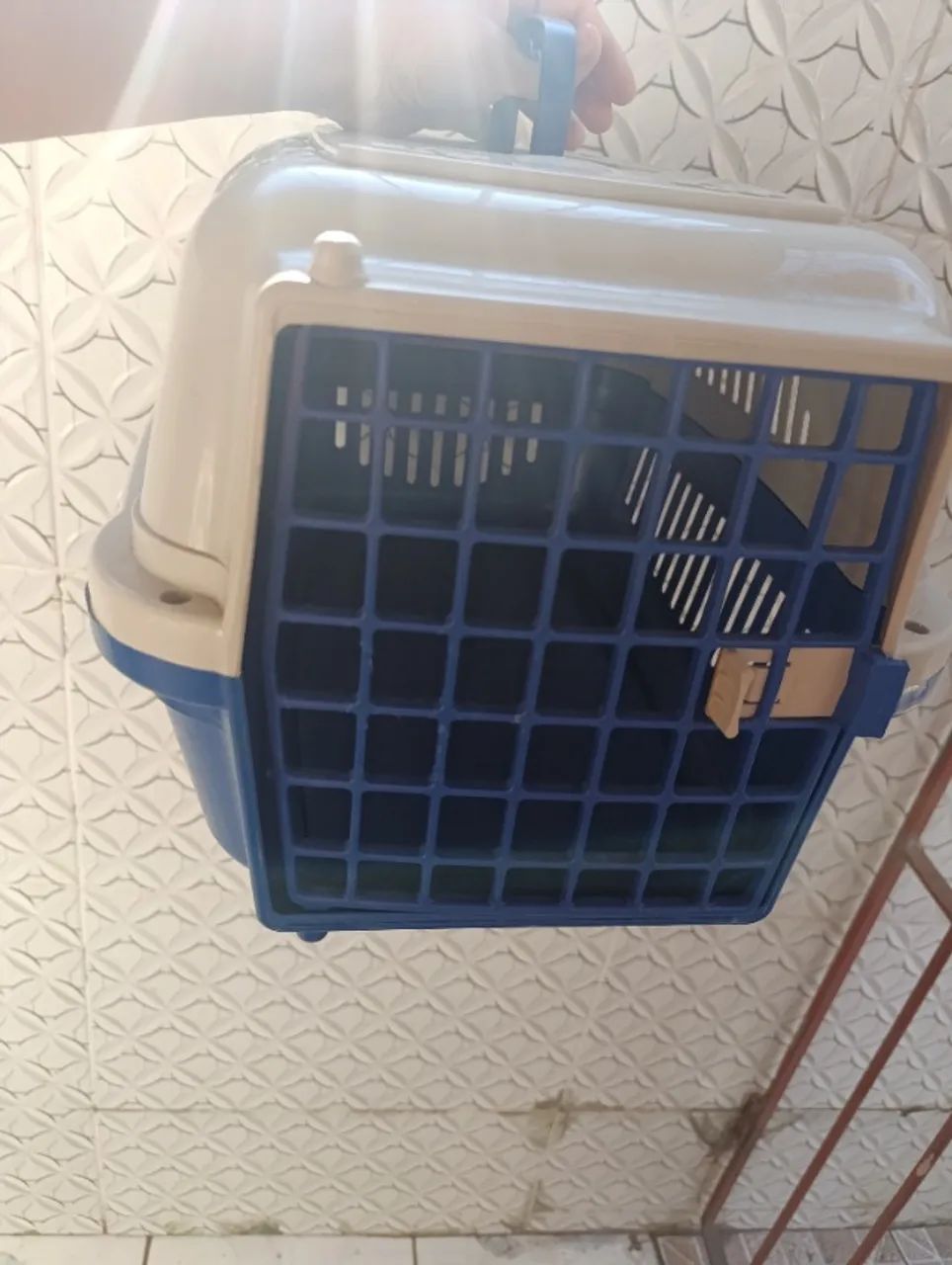Caixa transporte gato e cachorro  - Foto 4