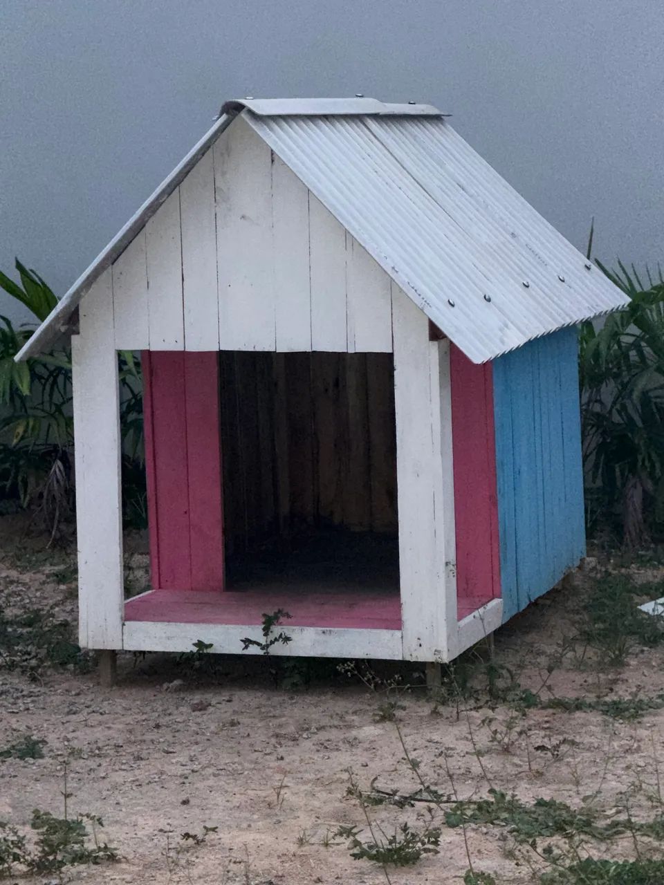 Casa de cachorro 