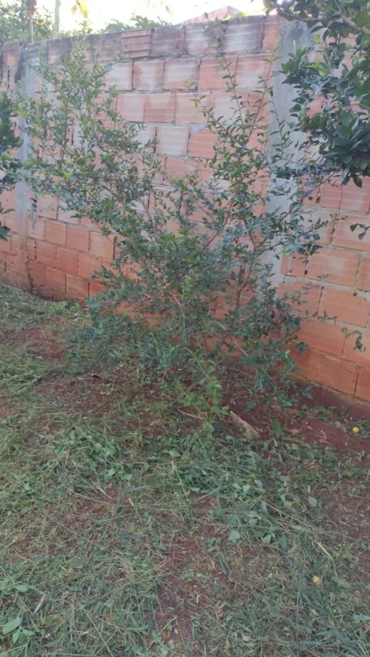 Lote barato em Juatuba  - Foto 5