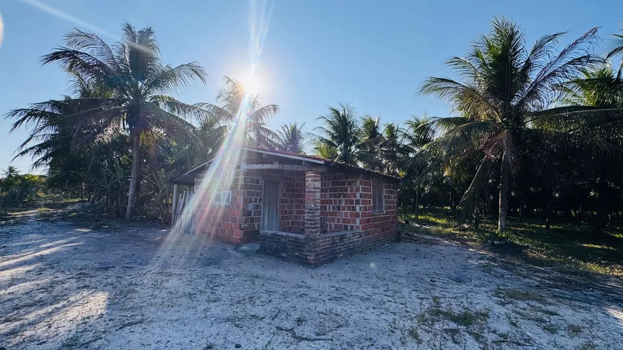 Terreno com 5 hectares em Paraipaba  - Foto 4