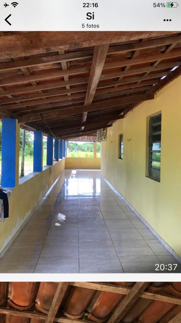 SÍTIO EM PILAR COM ÁREA PLANTADA E ESPAÇO PARA CRIAÇÃO DE ANIMAIS - Foto 2