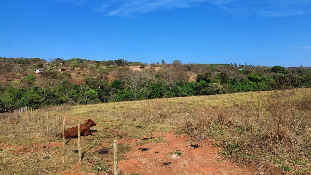 Chácara de 20.000m2 em Bonfinópolis com Rio 7 km da cidade  - Foto 4