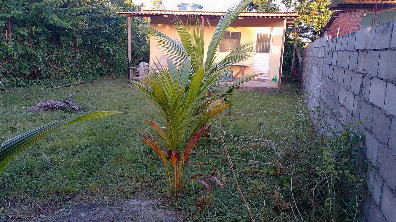 Casa de praia , Zona Norte de Ilhéus . - Foto 2