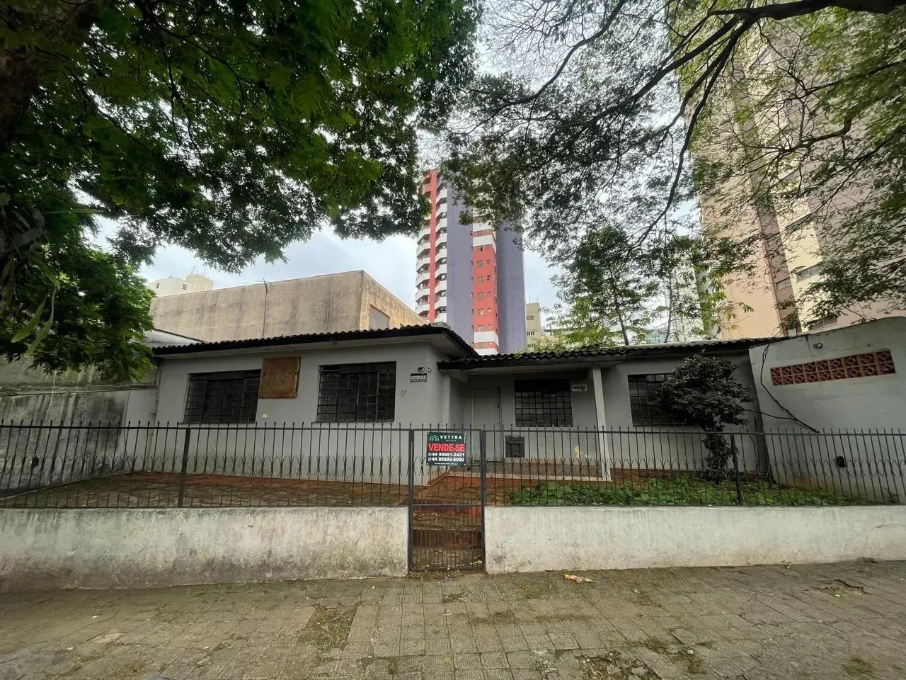 Terreno comercial/residencial - Zona 07 - Maringá/PR - Foto 2