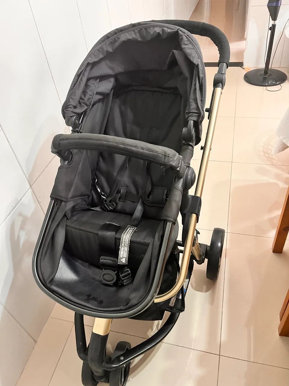 Carrinho de bebê Mobi Moisés 