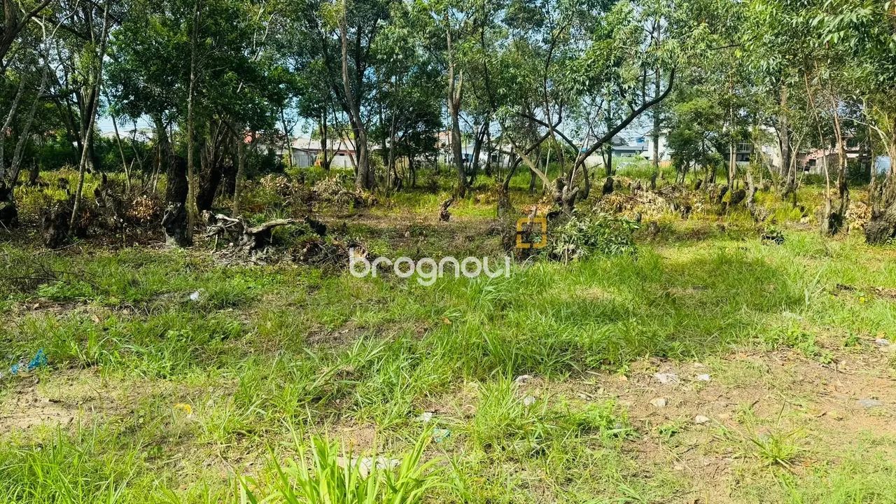 Oportunidade Norte da Ilha, terreno com 380m². - Foto 2