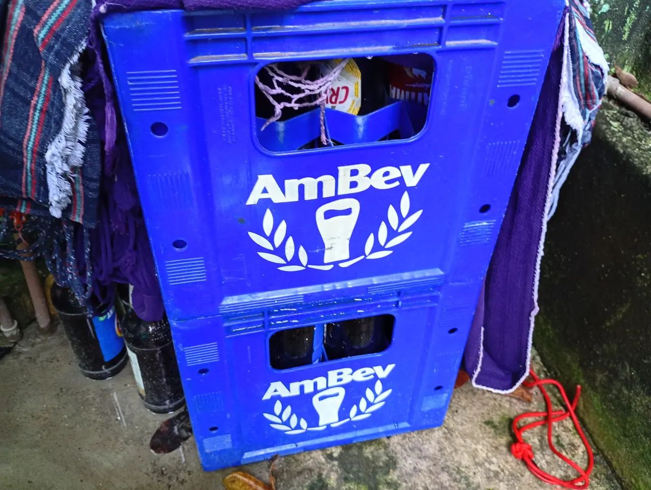 Grade de cervejas com garrafas