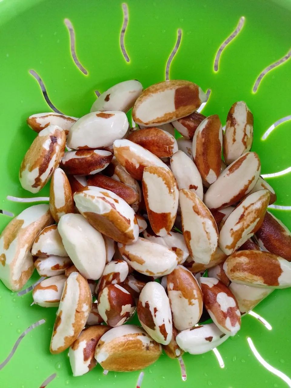 Venda de castanha no kilo, grama e unidades  - Foto 2