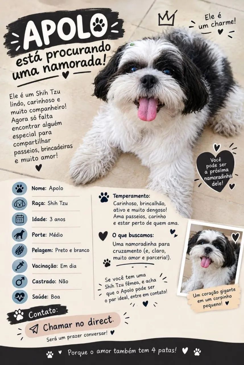 Shih-tzu