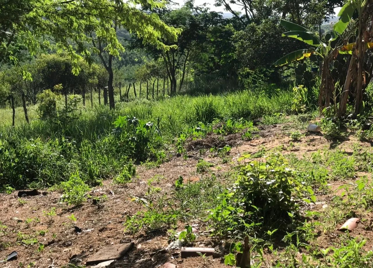 Foto - João Pessoa - Tambaú
