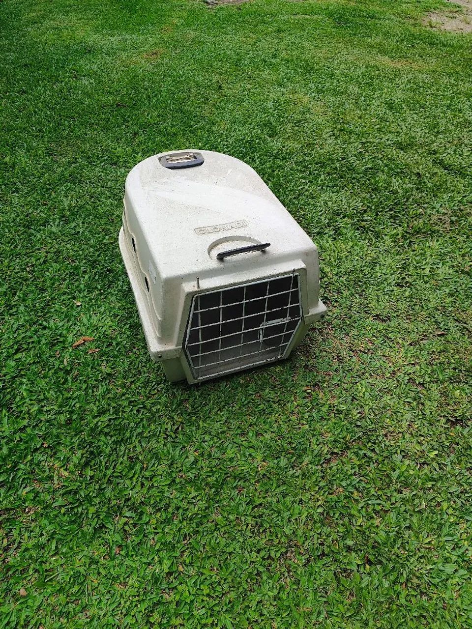Caixa de Transporte para Cães de Médio e Pequeno Porte  - Foto 2