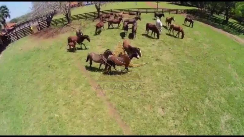 Fazenda - Santa Vitoria - Zona Rural - Foto 4
