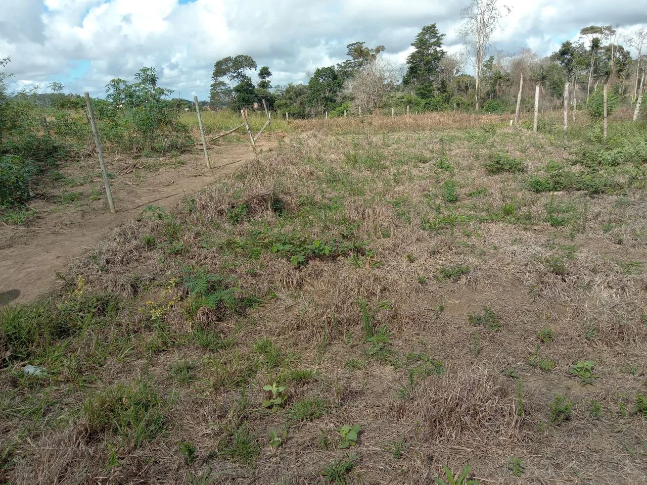 Terreno no portal do monte em Itamaraju  - Foto 2